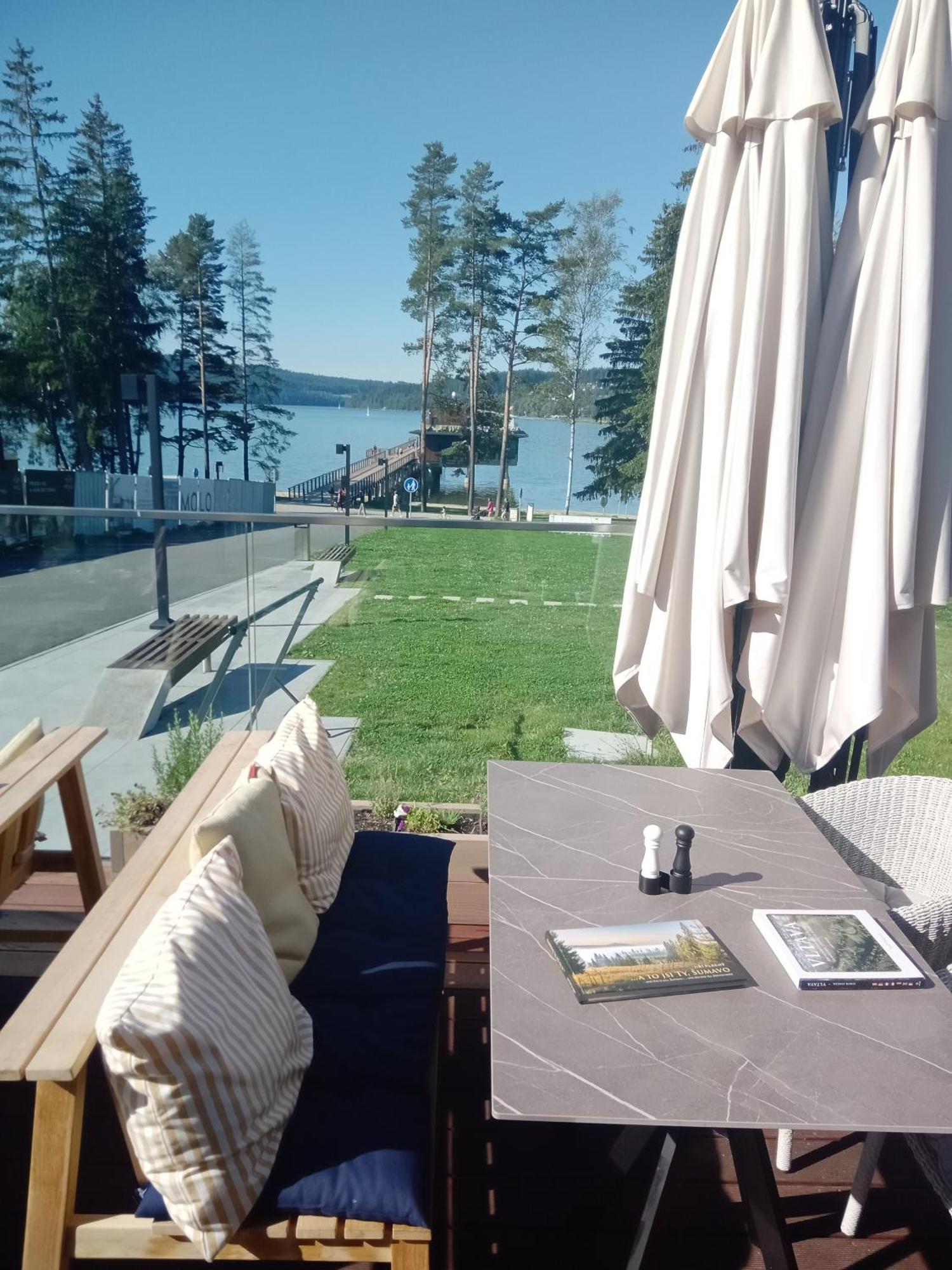 Molo Lipno Rezidence Apartment *